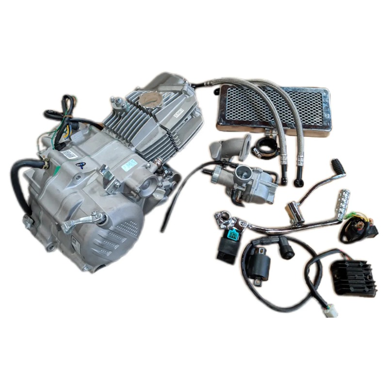 Model Kit Engine - 【Popular】Motorcycle Engine 190cc Oil-cooled Zongshen W190CC